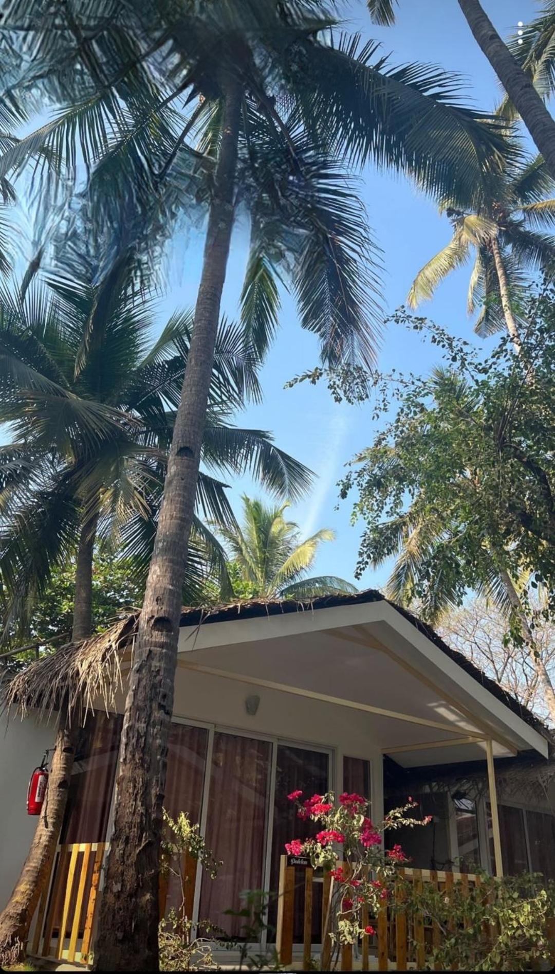 Taste Of Nature Canacona Exterior foto